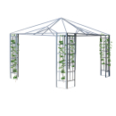 Gestell Rank Pavillon 3x3m Pflanzbewachsungs-Hilfe