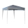 Pavillon Schutzhaube 2x2m Wasserdicht Transparent